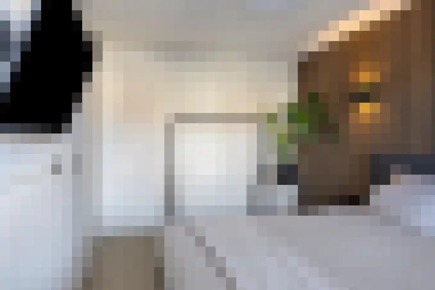 Het Blik 106 Groenlo thumbnail 23