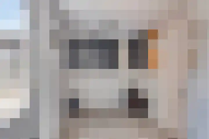 Het Blik 158 Groenlo thumbnail 19