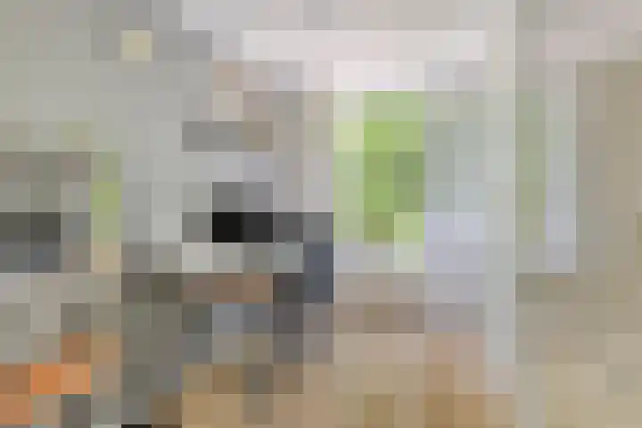 Het Blik 158 Groenlo thumbnail 26