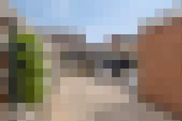 Het Blik 158 Groenlo thumbnail 31