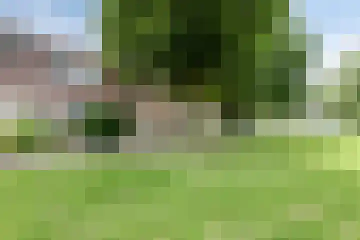 Het Blik 158 Groenlo thumbnail 34