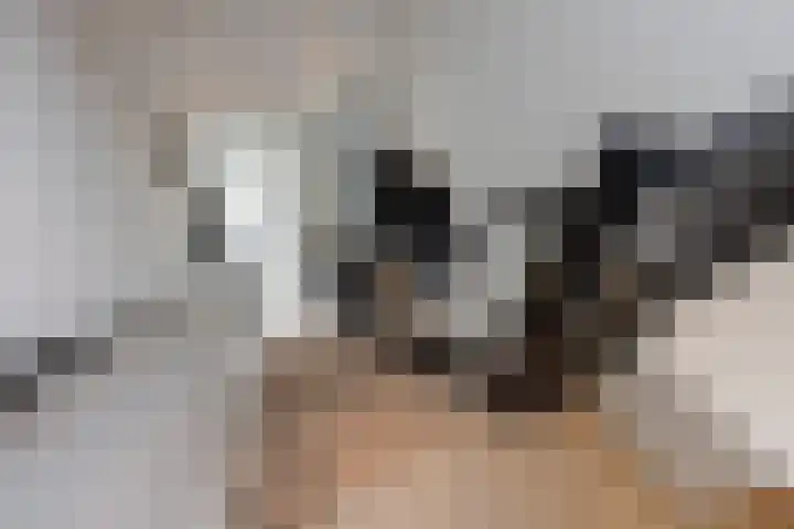 Het Blik 26 Groenlo thumbnail 14
