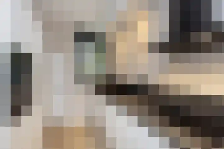 Het Blik 26 Groenlo thumbnail 5