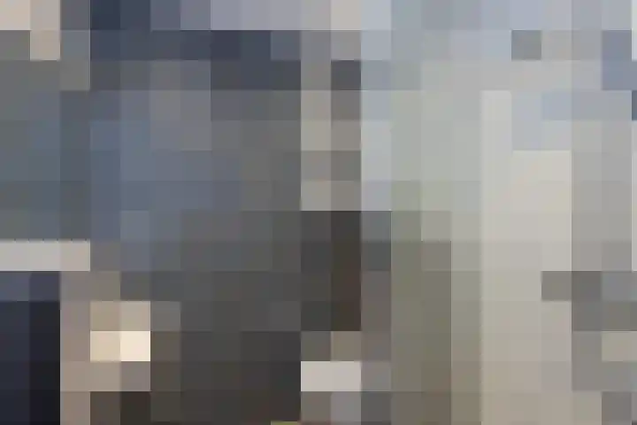 Het Blik 26 Groenlo thumbnail 8