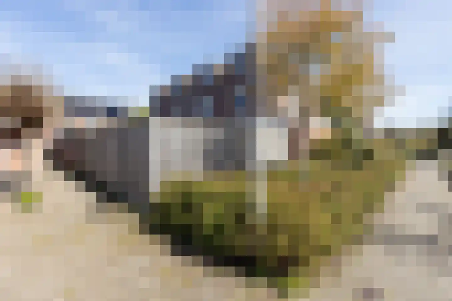 Het Blik 64 Groenlo thumbnail 42