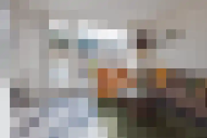 het Block 32 Raamsdonksveer thumbnail 13