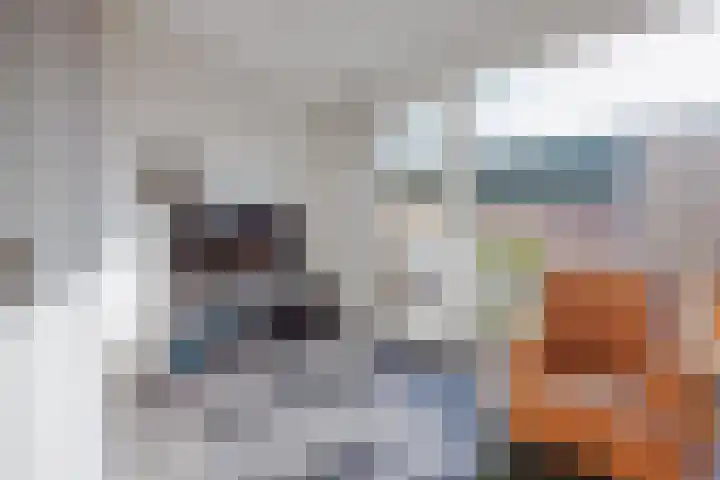 het Block 32 Raamsdonksveer thumbnail 14