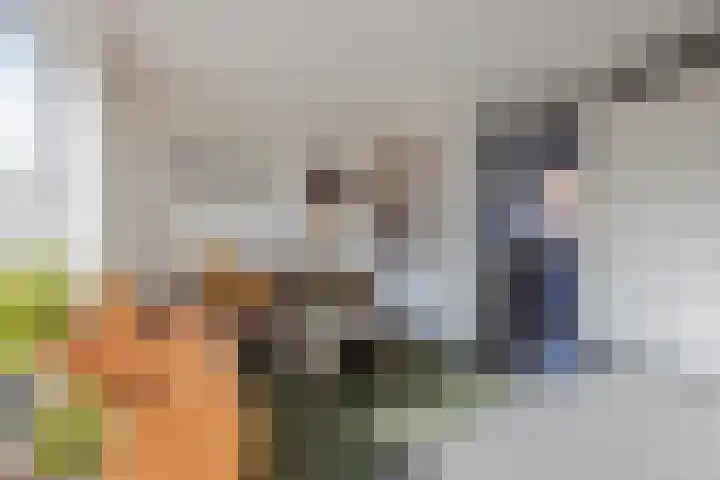 het Block 32 Raamsdonksveer thumbnail 15