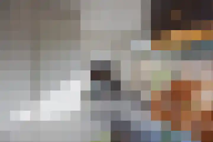 het Block 32 Raamsdonksveer thumbnail 16