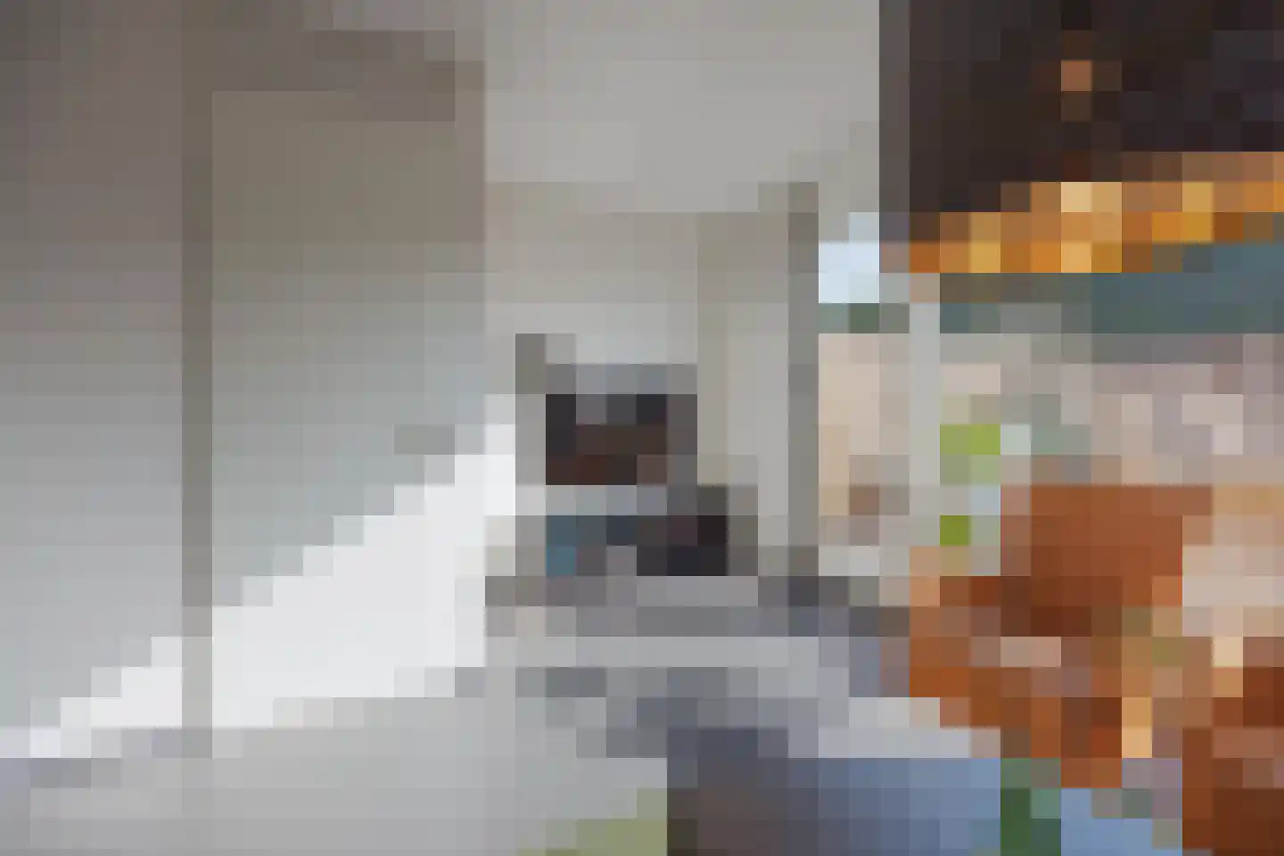 het Block 32 Raamsdonksveer thumbnail 16