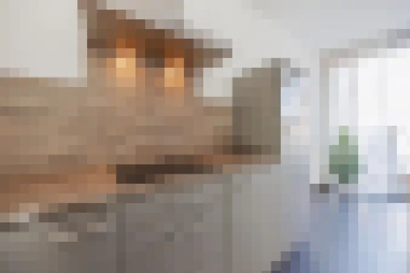 het Block 32 Raamsdonksveer thumbnail 18