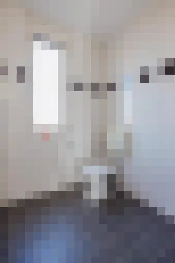 het Block 32 Raamsdonksveer thumbnail 24