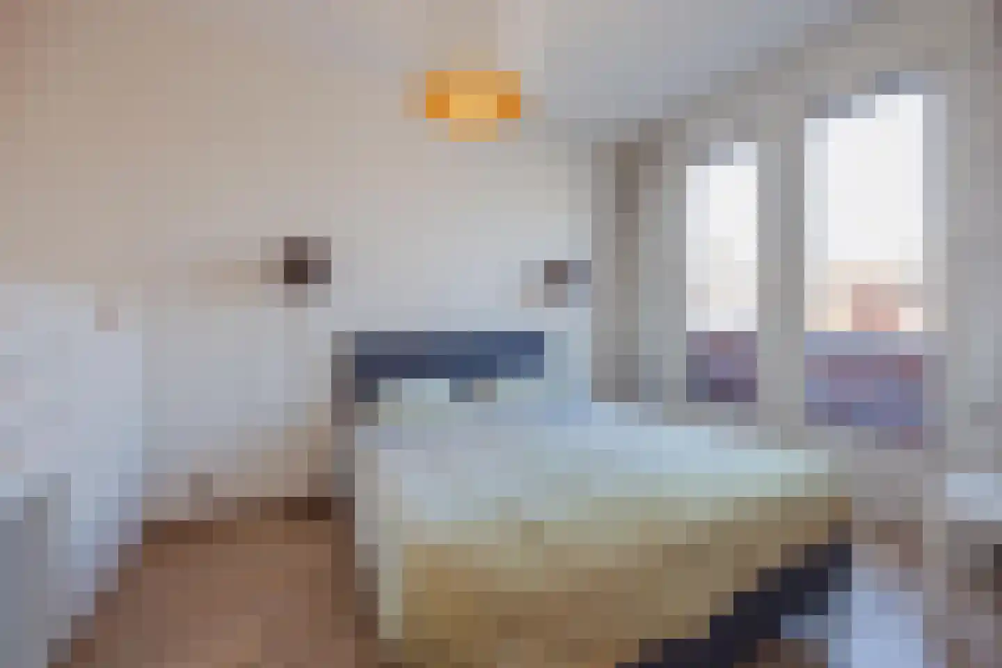 het Block 32 Raamsdonksveer thumbnail 27