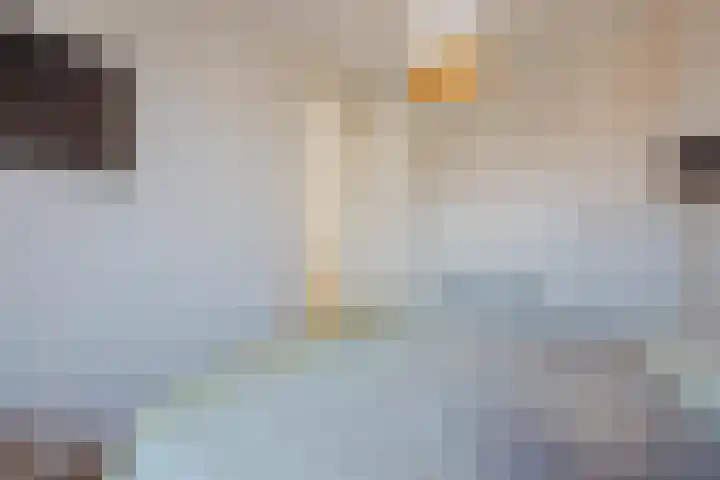 het Block 32 Raamsdonksveer thumbnail 28