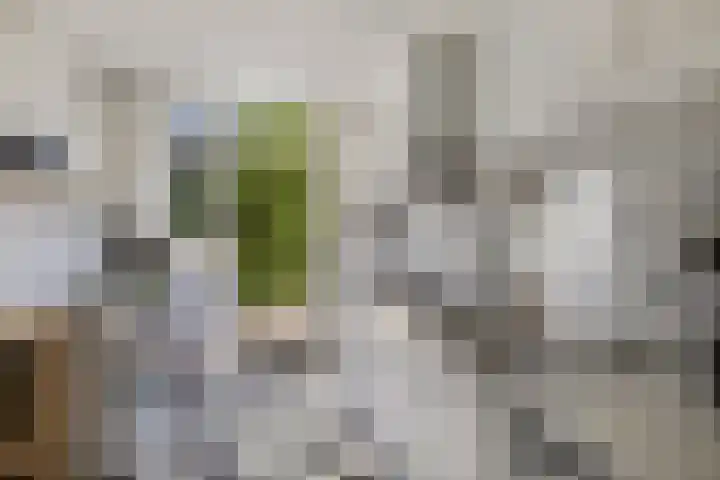 Het Bloemendaal 21 Groessen thumbnail 32