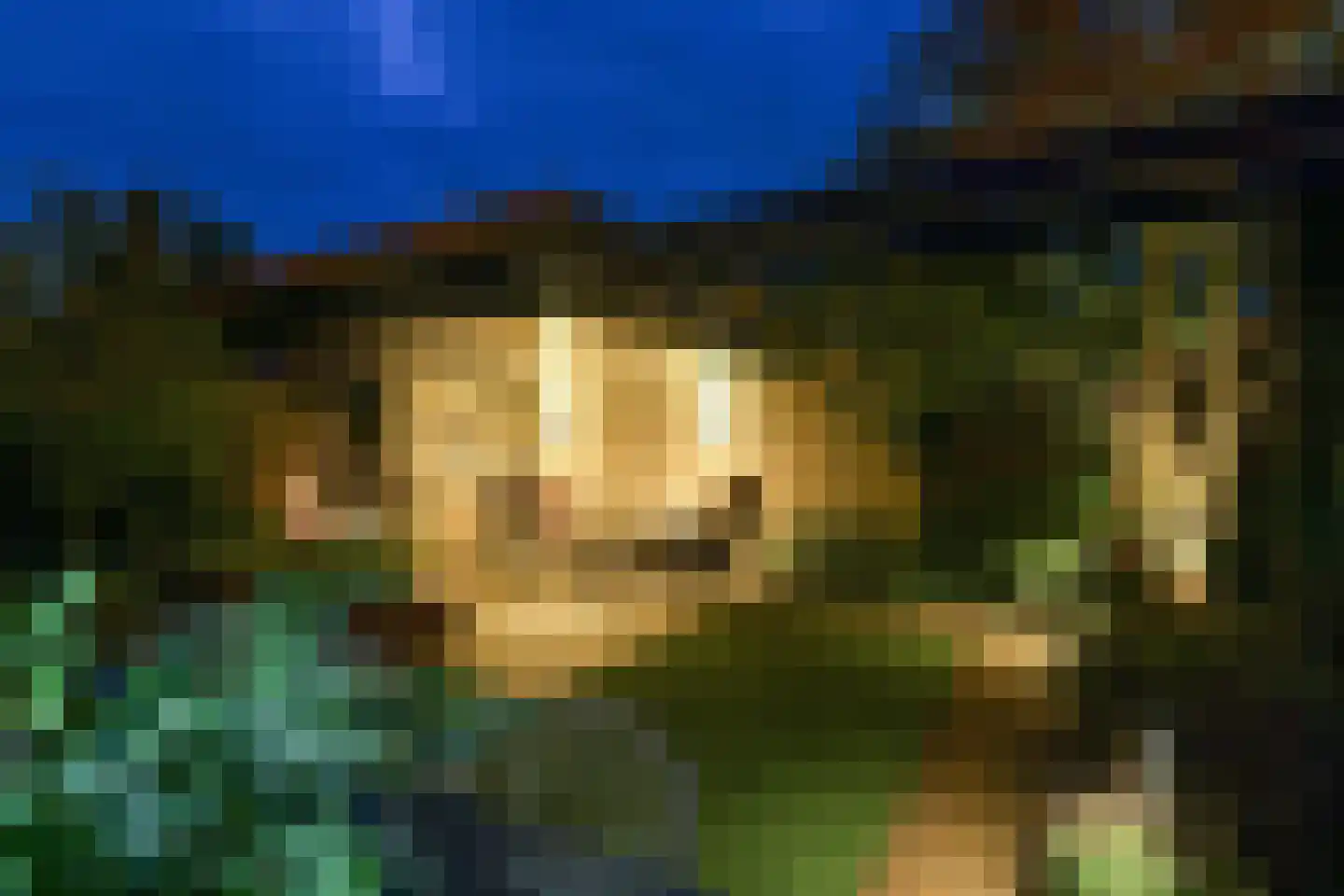 Het Bloemendaal 21 Groessen thumbnail 4