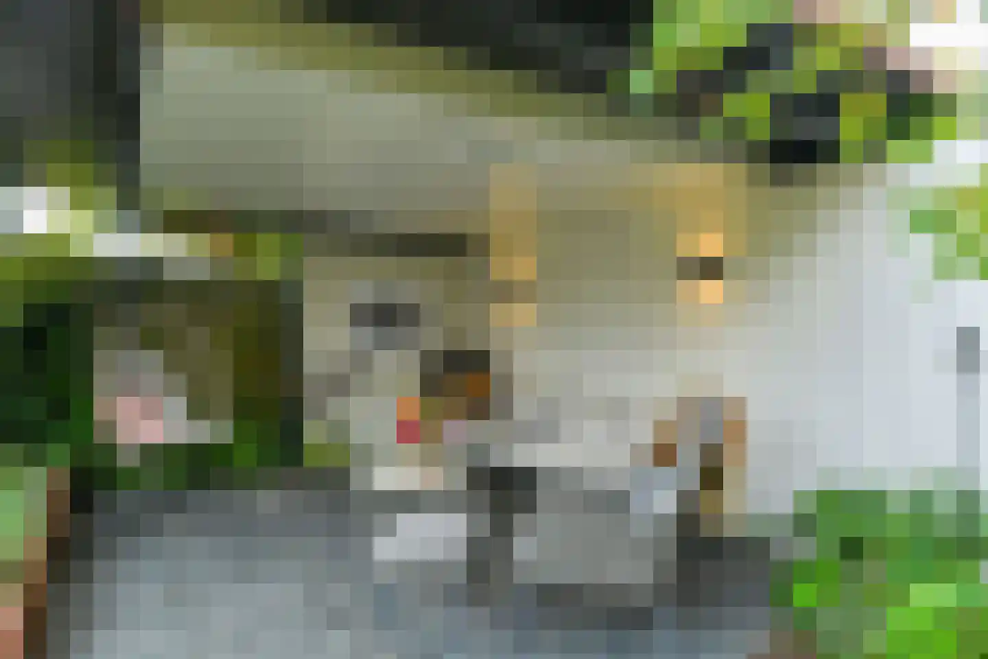 Het Bloemendaal 21 Groessen thumbnail 43