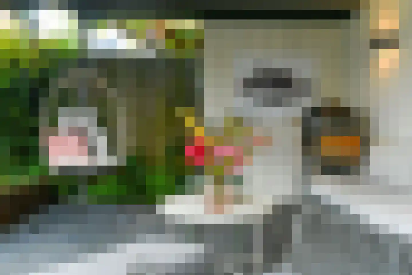 Het Bloemendaal 21 Groessen thumbnail 44