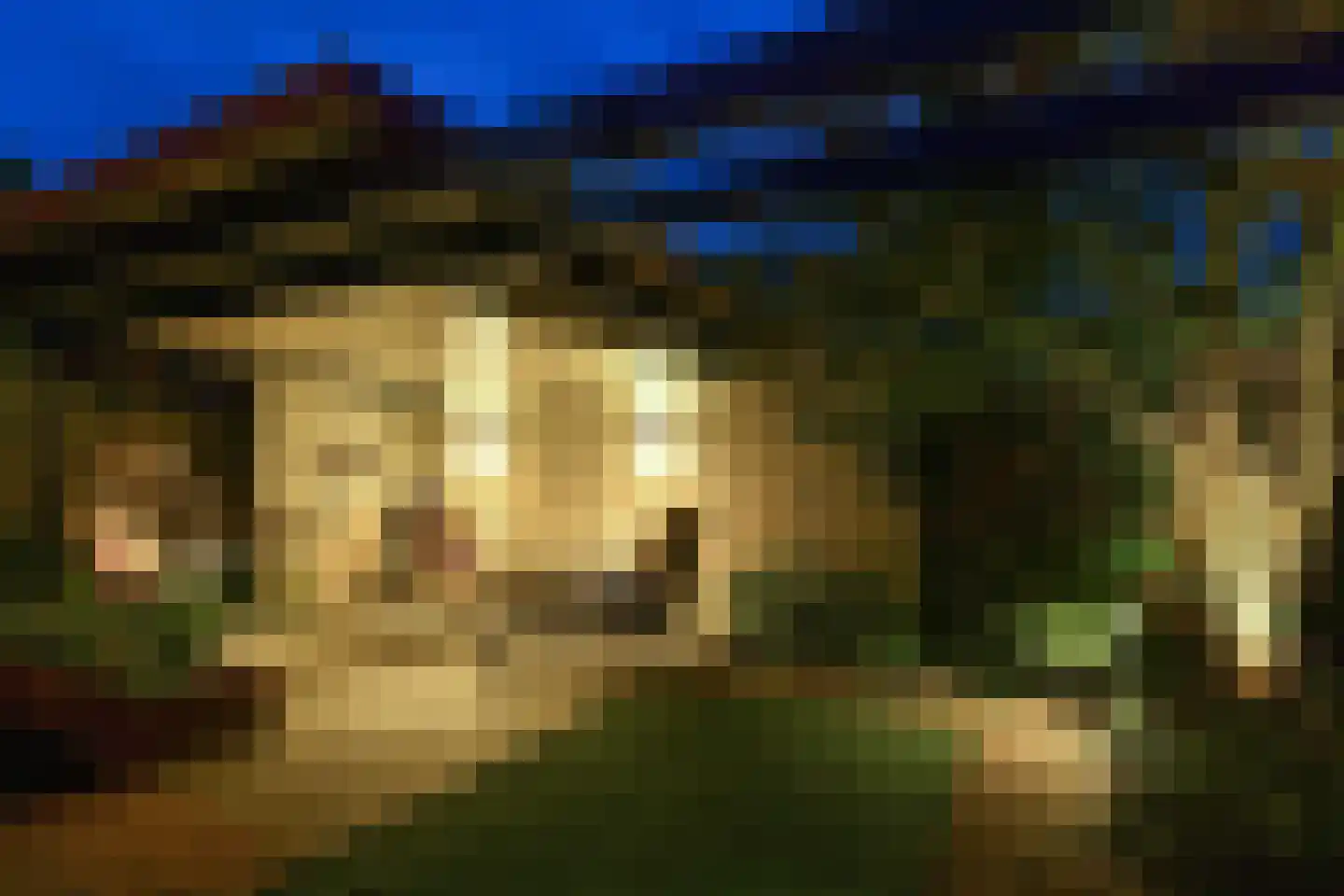 Het Bloemendaal 21 Groessen thumbnail 47