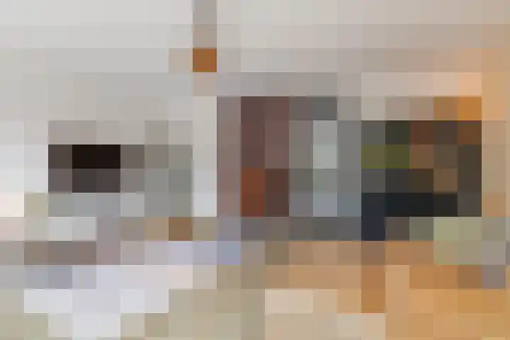 Het Blokhuis 7 Hoef en Haag thumbnail 11