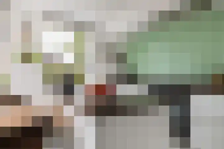 Het Blokhuis 7 Hoef en Haag thumbnail 14