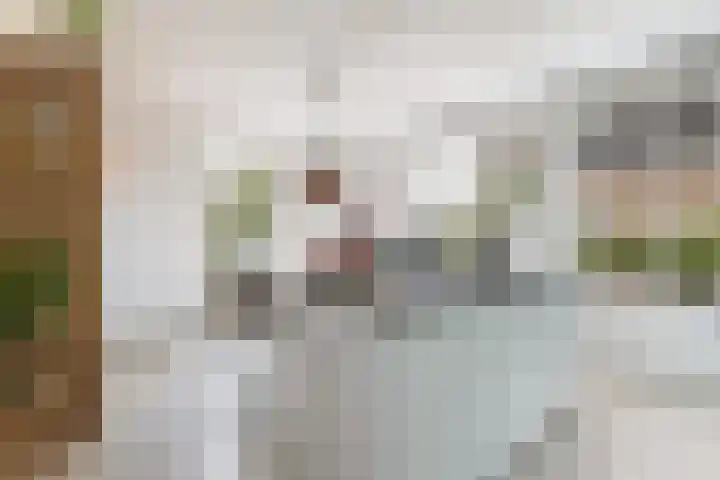 Het Blokhuis 7 Hoef en Haag thumbnail 15