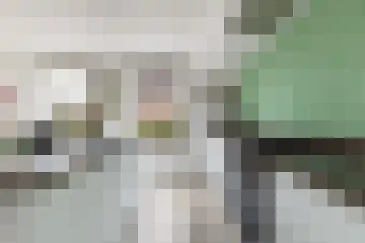 Het Blokhuis 7 Hoef en Haag thumbnail 16