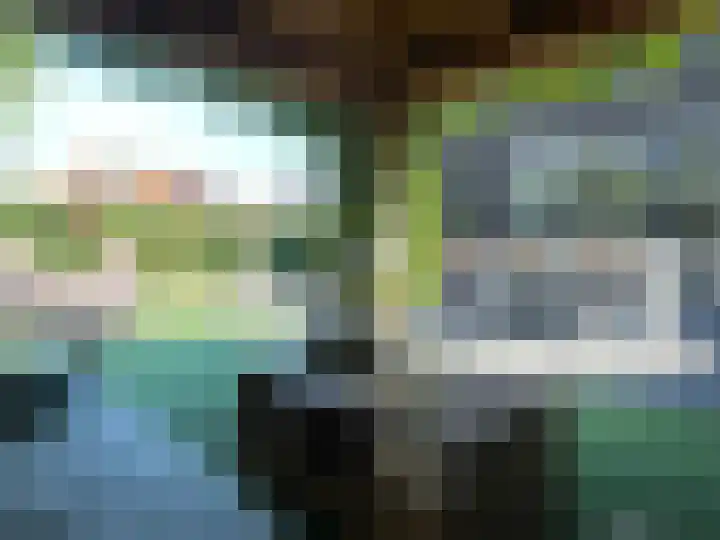 Het Blokhuis 7 Hoef en Haag thumbnail 19