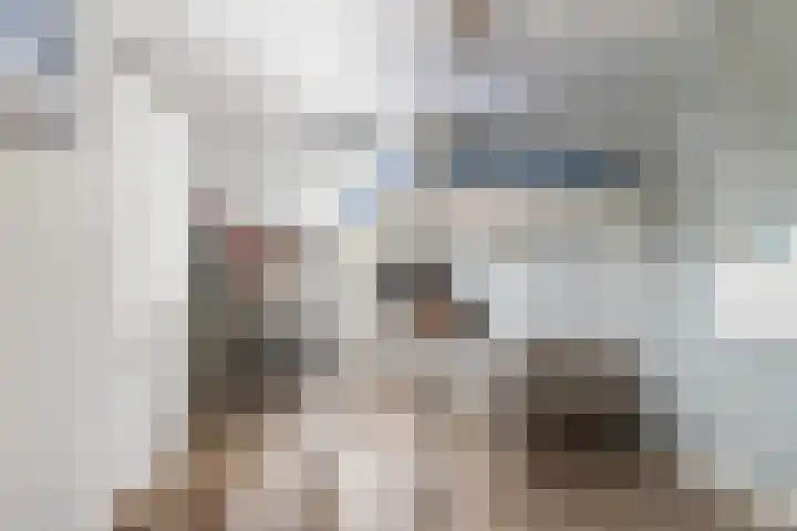 Het Blokhuis 7 Hoef en Haag thumbnail 25