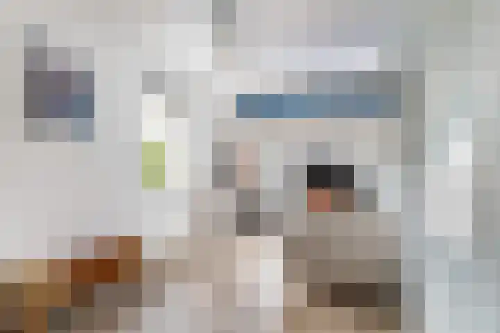 Het Blokhuis 7 Hoef en Haag thumbnail 26