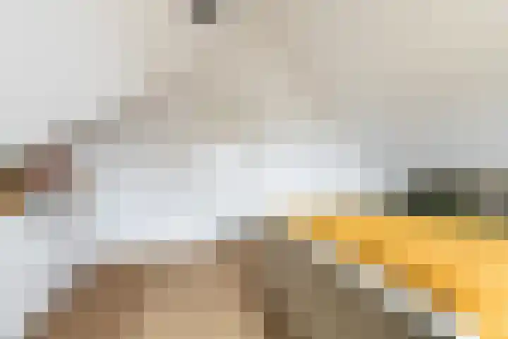 Het Blokhuis 7 Hoef en Haag thumbnail 33