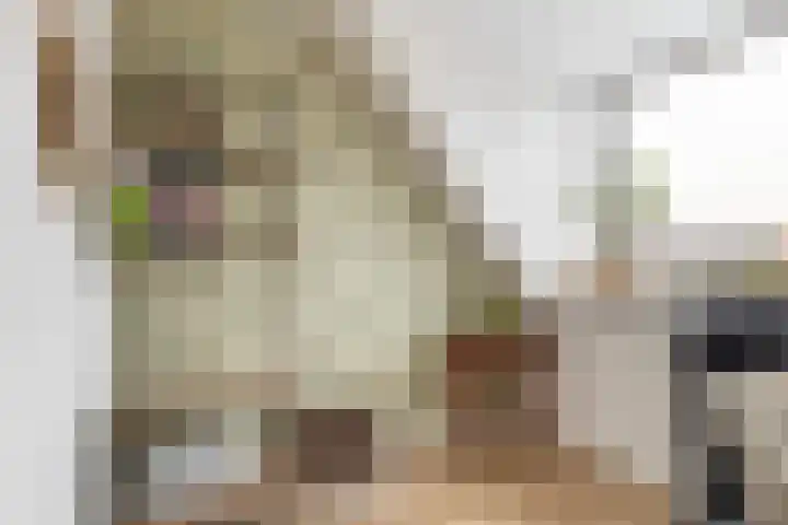 Het Blokhuis 7 Hoef en Haag thumbnail 36