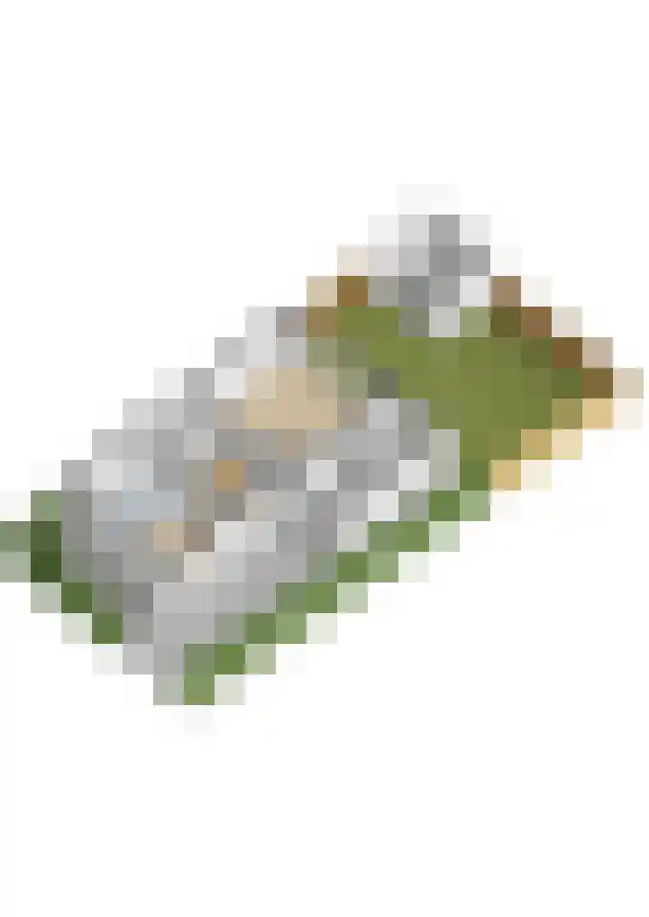 Het Blokhuis 7 Hoef en Haag thumbnail 46