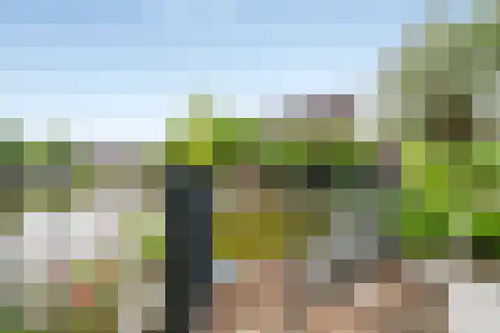 Het Blokschip 12 Rosmalen thumbnail 26