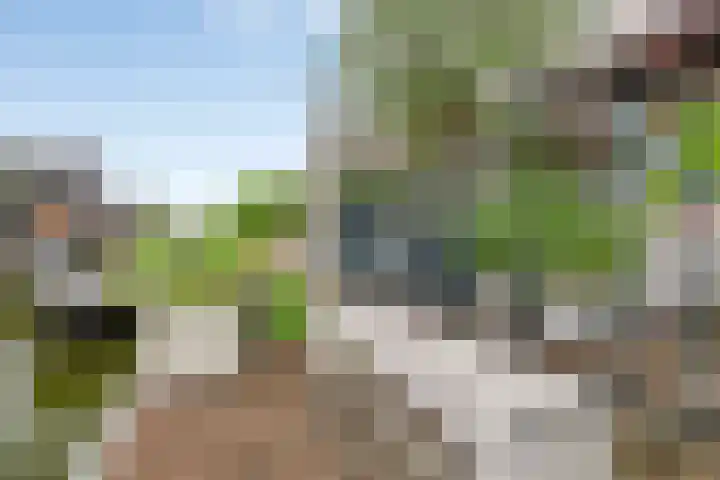 Het Blokschip 12 Rosmalen thumbnail 27
