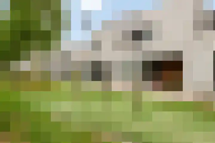 Het Blokschip 12 Rosmalen thumbnail 32