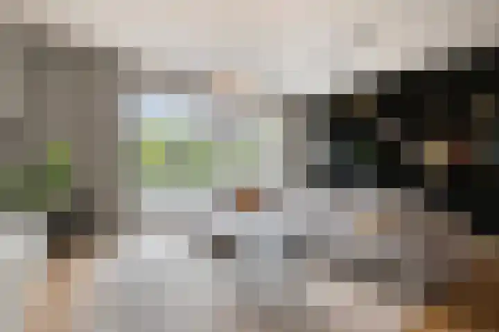 Het Blokschip 12 Rosmalen thumbnail 4