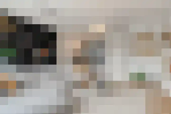 Het Blokschip 12 Rosmalen thumbnail 5