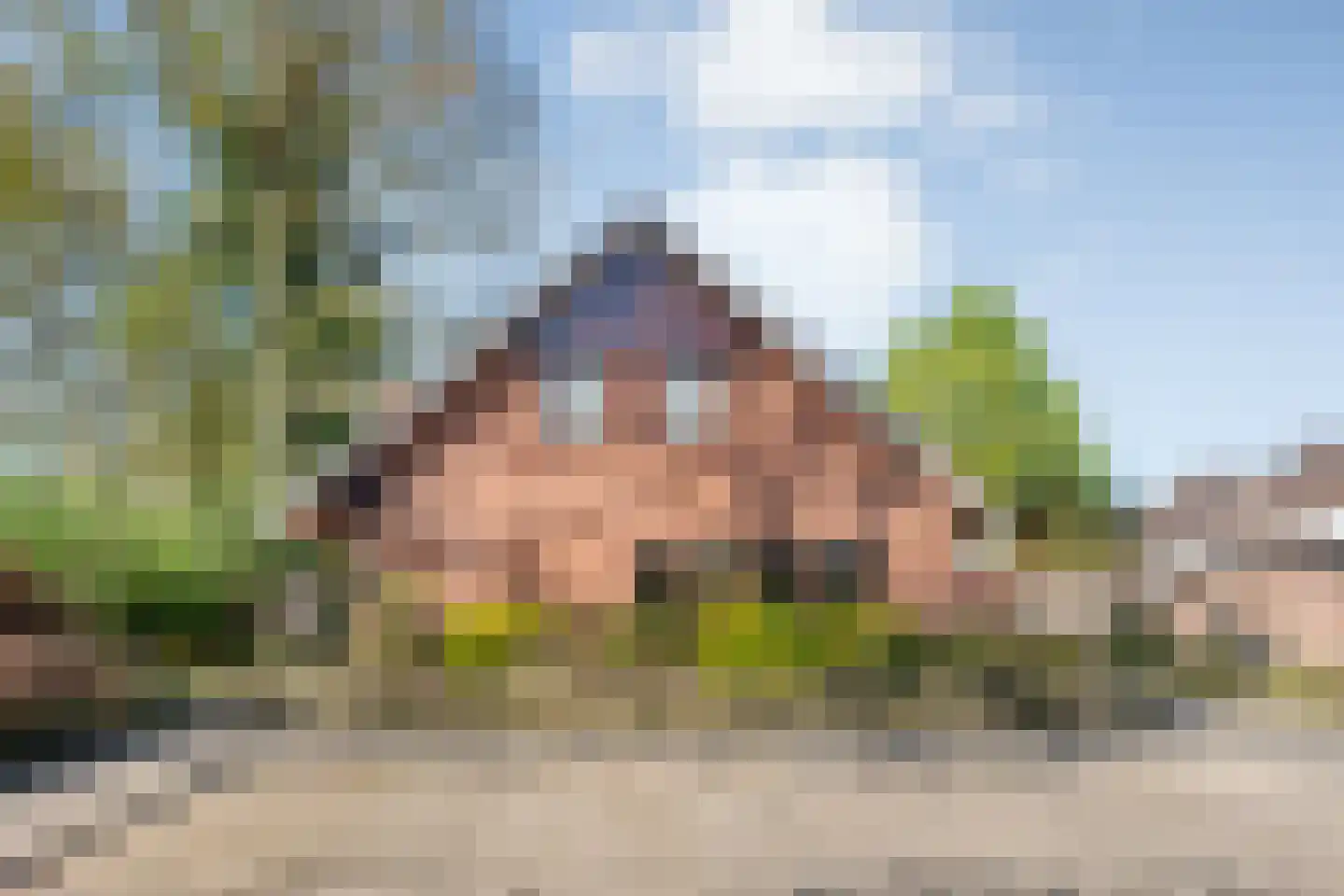 het Boerrigter 114 in Losser