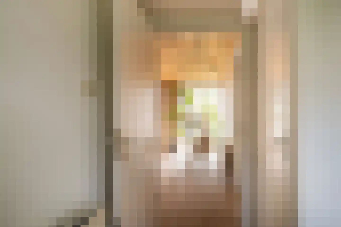 het Boerrigter 17 Losser thumbnail 10