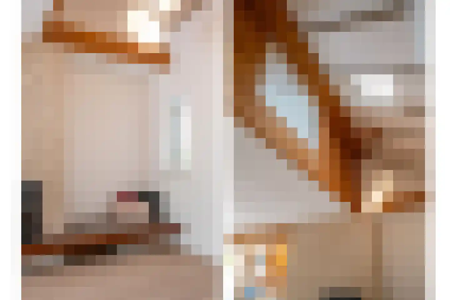 het Boerrigter 17 Losser thumbnail 13