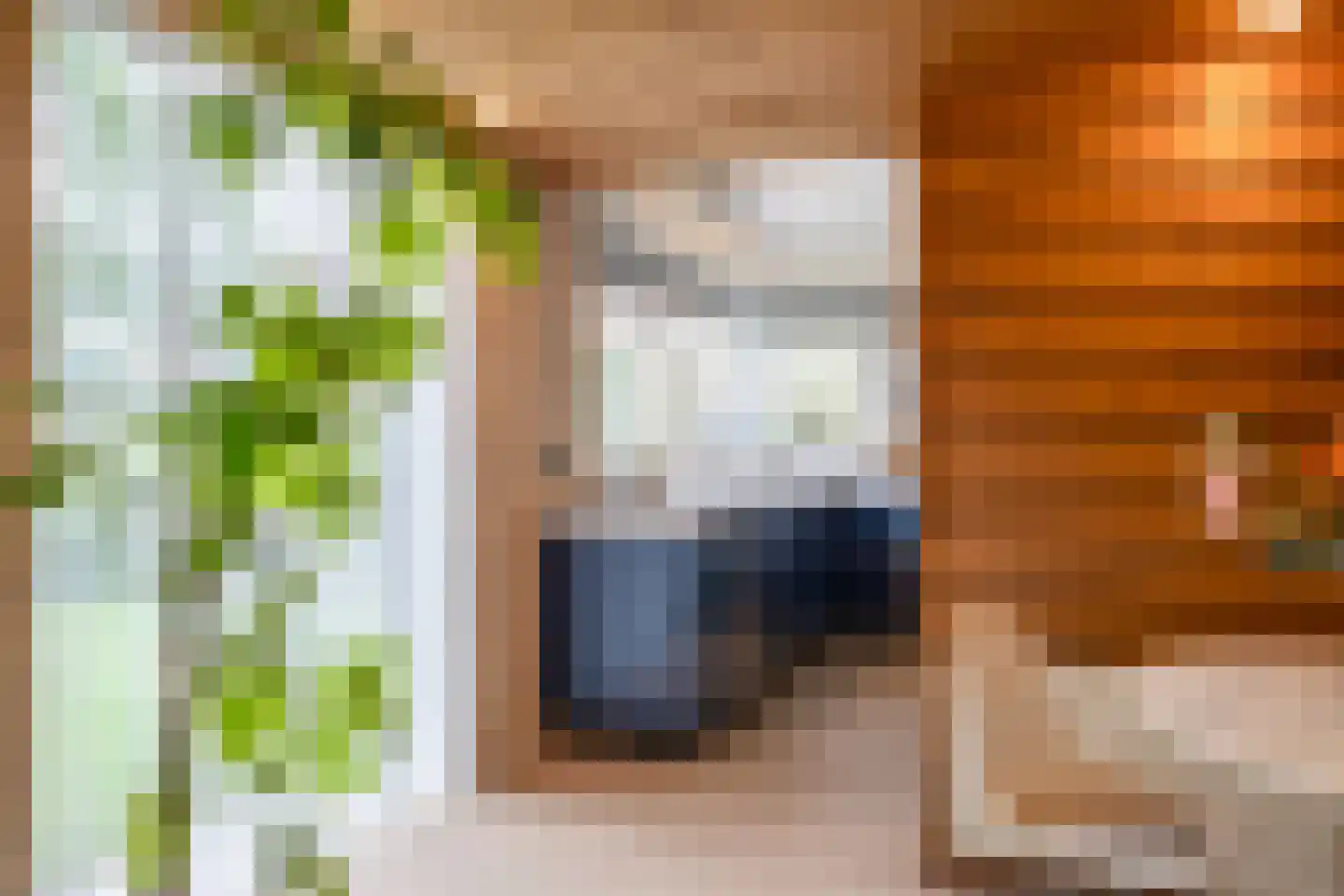 het Boerrigter 17 Losser thumbnail 16