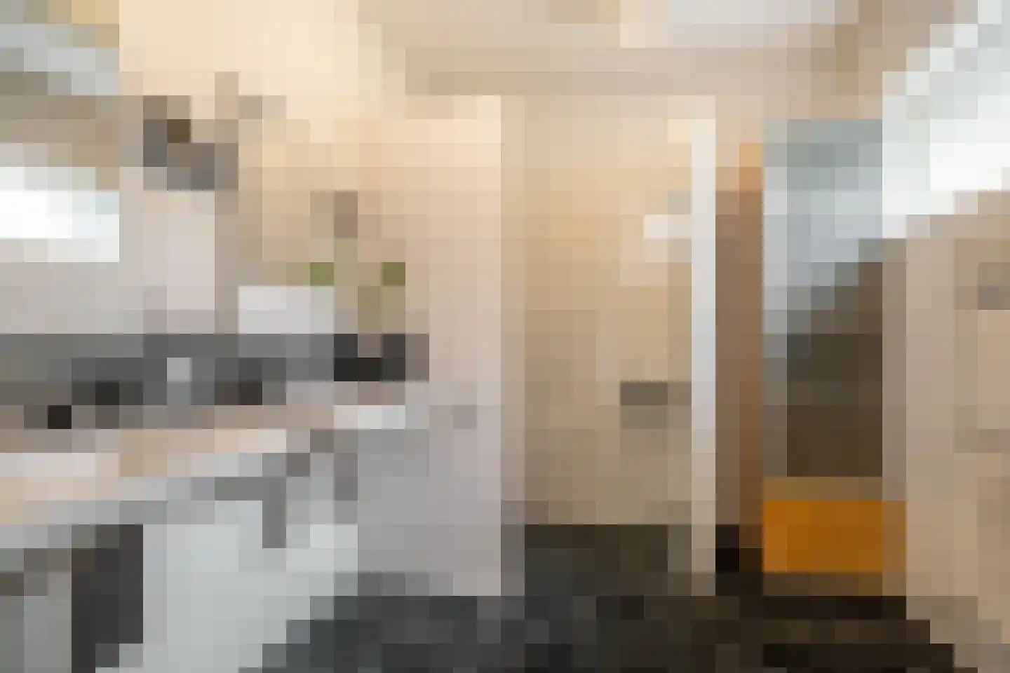 het Boerrigter 17 Losser thumbnail 22