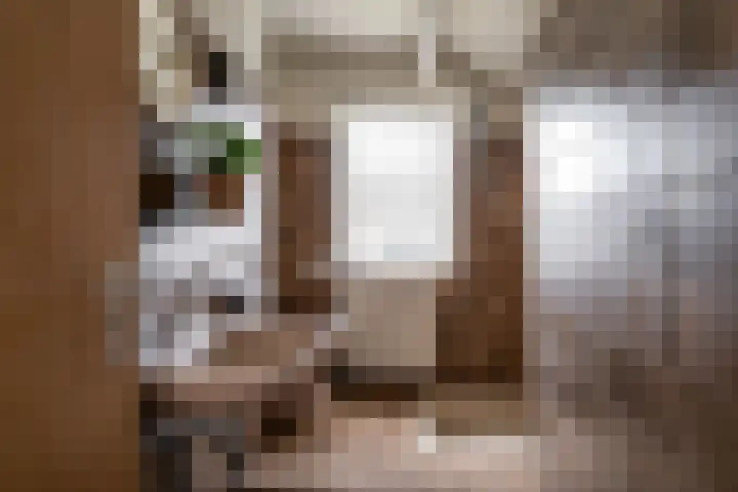 het Boerrigter 17 Losser thumbnail 27