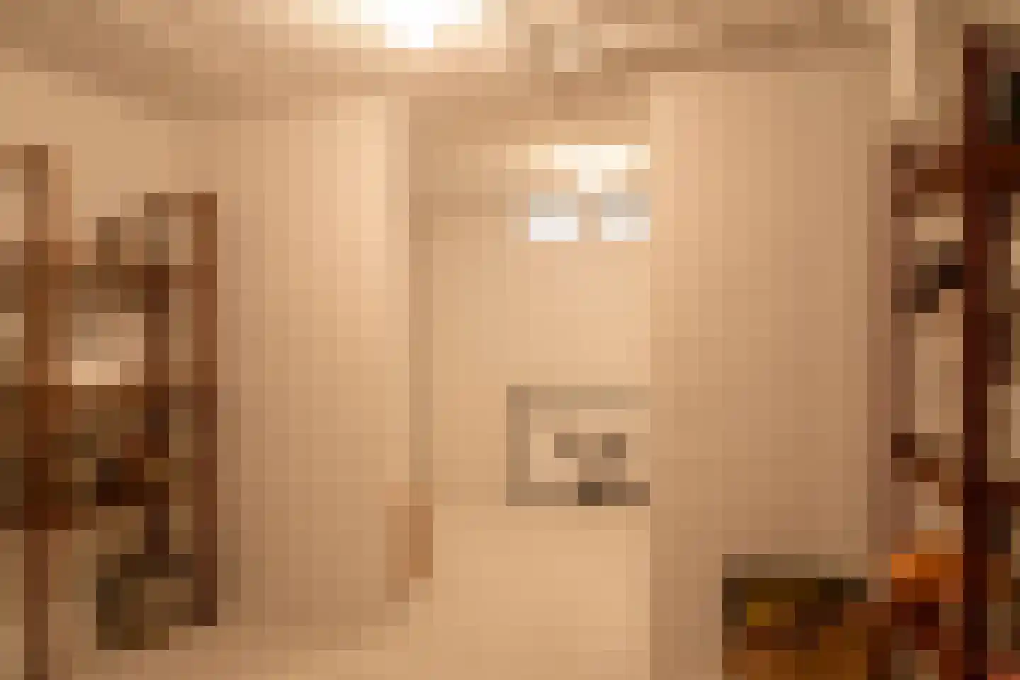 het Boerrigter 17 Losser thumbnail 35