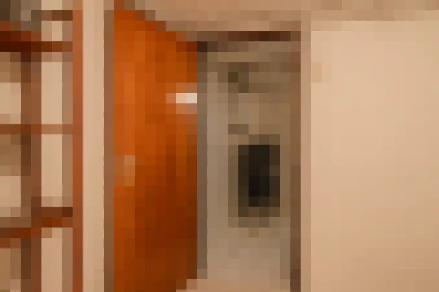 het Boerrigter 17 Losser thumbnail 36