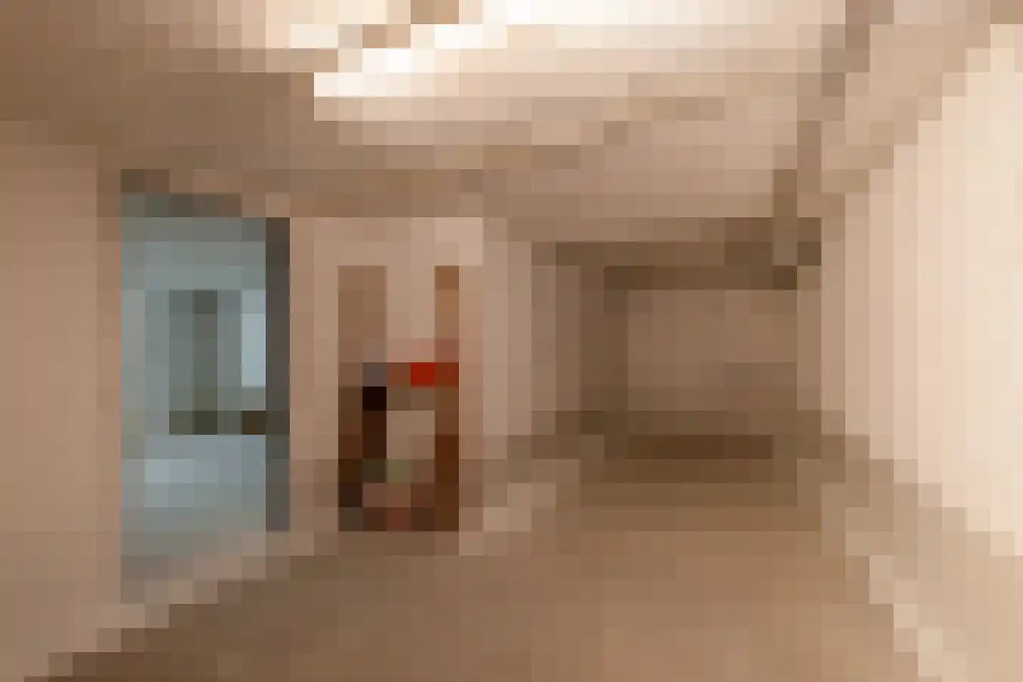 het Boerrigter 17 Losser thumbnail 37