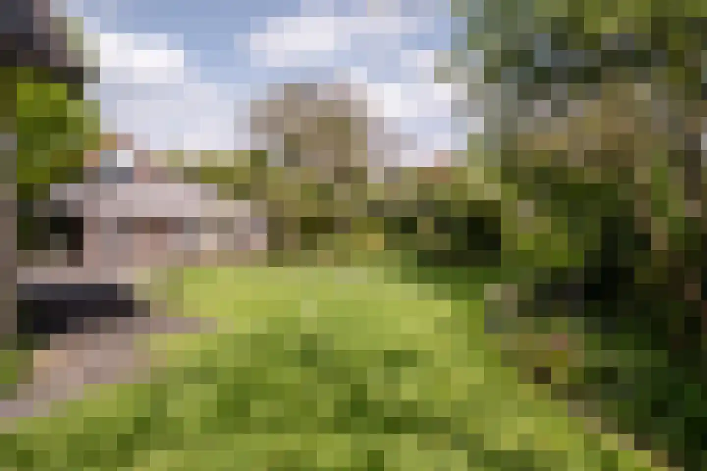 het Boerrigter 17 Losser thumbnail 39