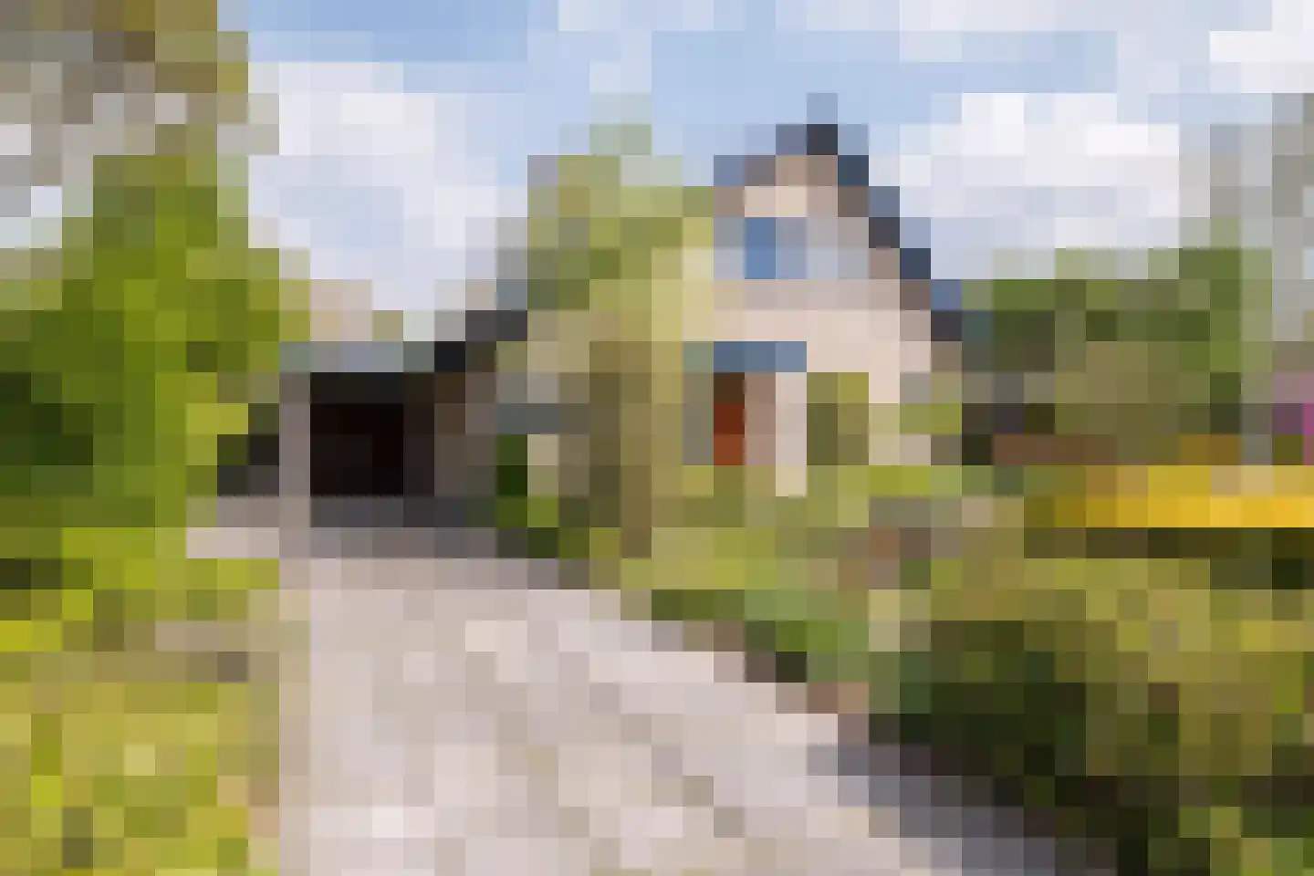 het Boerrigter 17 Losser thumbnail 4