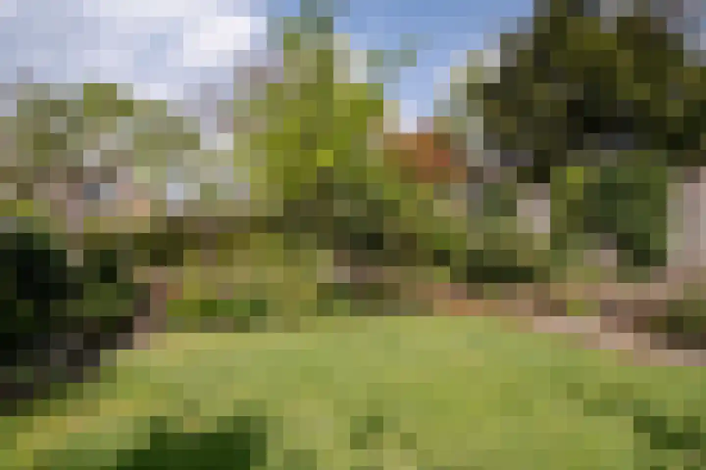 het Boerrigter 17 Losser thumbnail 40